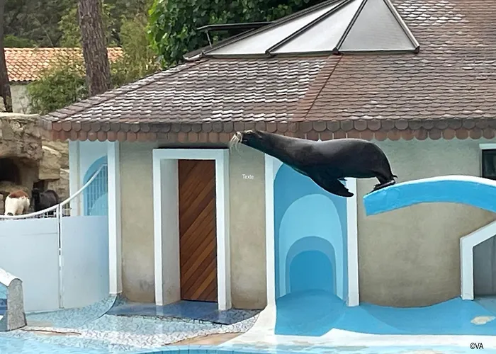 בית נופש Mobile - 3 Bedrooms - Cc718 Les Charmettes 4 Stars *